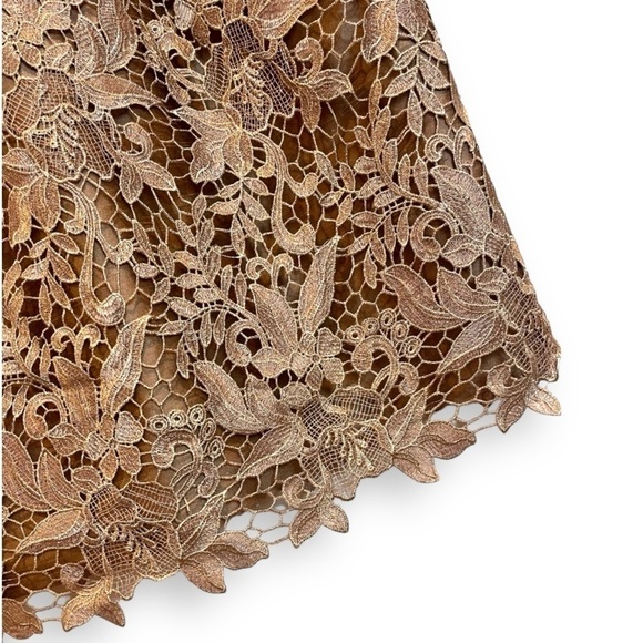 Tina Di Martina Champagne Gold Sleeveless Lace Knee Length Sheath Dress NWT - Picture 6 of 8